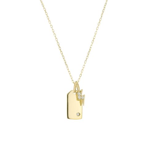 Little Luxuries 14K Yellow Gold Mini Tag Charm Necklace