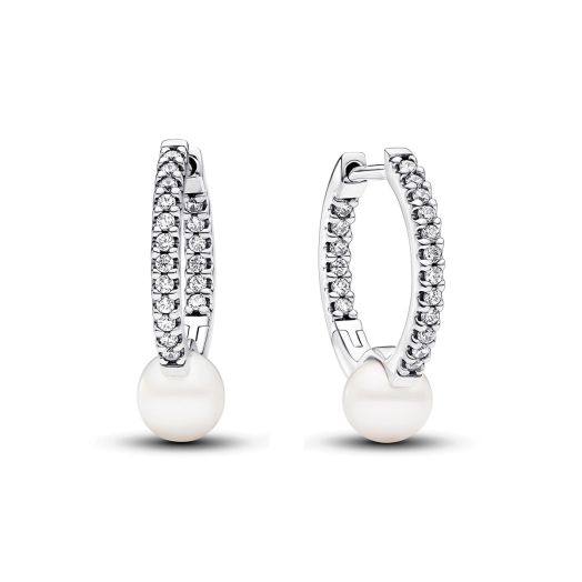 Pandora hoop earrings