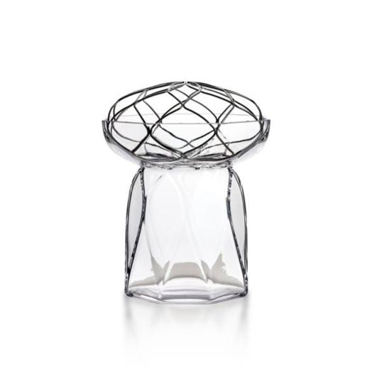 glass vase with wire insert