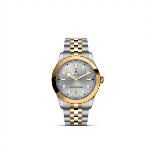 TUDOR Black Bay 39 S&G, 39MM Silver Dial, Steel/Gold Bracelet