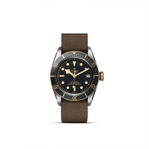 TUDOR Black Bay S&G, 41MM Black Dial, Brown Fabric Strap