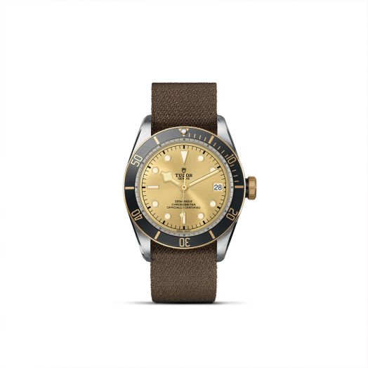 TUDOR Black Bay S&G, 41MM Champagne-Color Dial, Brown Fabric Strap