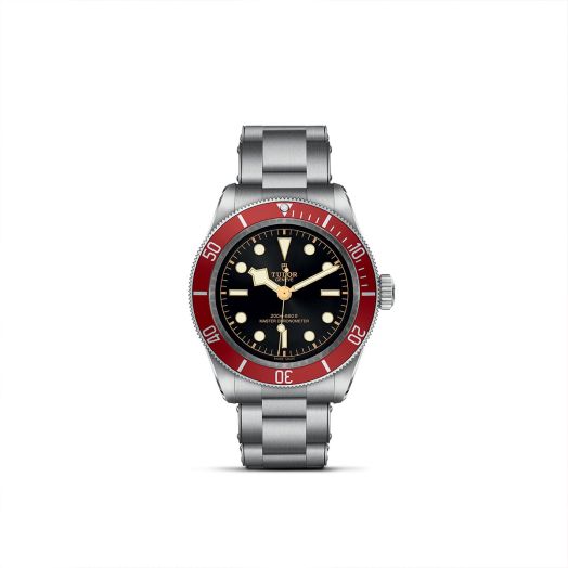 Tudor watch