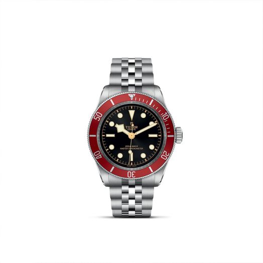 Tudor watch