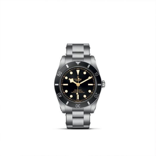 Tudor Watch