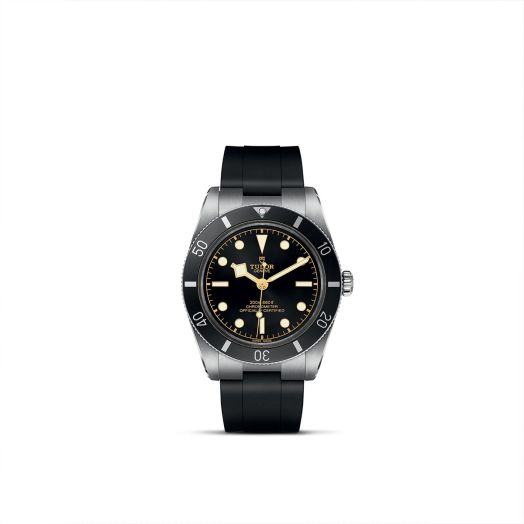 Tudor watch