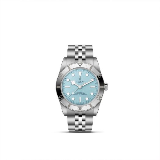 stainless steel watch with light blue dial