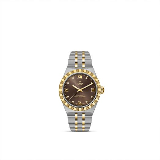 tone tone tudor watch with brown dial