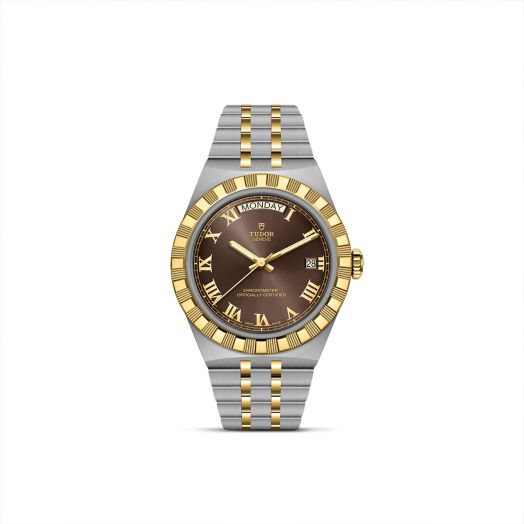 tudor watch with brown dial