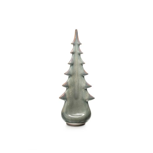 moss colored evergreen tree