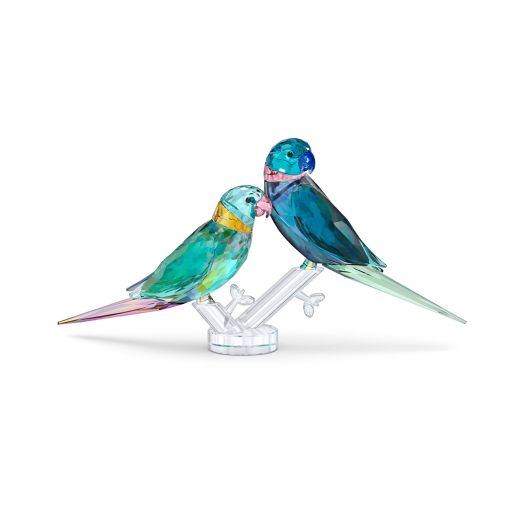 A pair of crystal parakeets