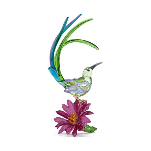 multi-colored bird perched on a cactus flower