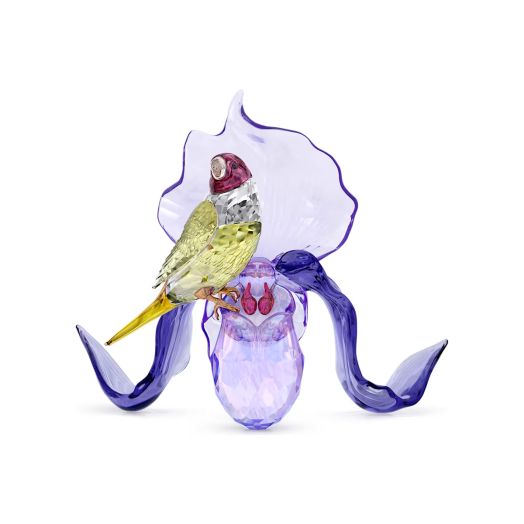 multi-colored bird set on top of a flower