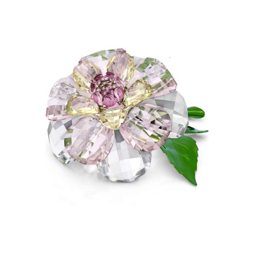 crystal white and pink flower with green stems