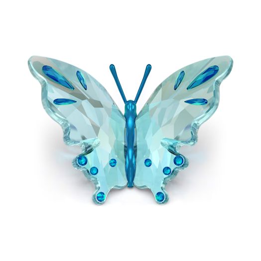 turquoise blue butterfly