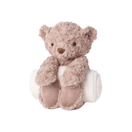 Bear stuffed animal and blanket
