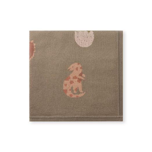 Dinosaur baby blanket 