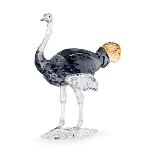 Ostrich crystal