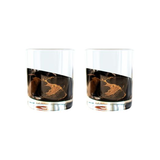 Set of 2 glass whiskey glasses with black ember resin